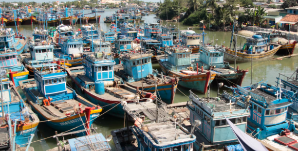 pelabuhan nelayan di vietnam